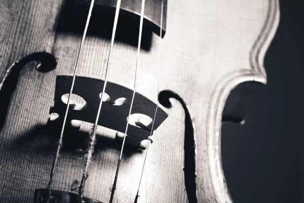 Monochrome image of hand crafted violin closeup — Stock Photo, Image