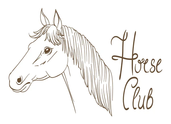 Paard hoofd club symbool lijnwerk tekening. vector — Stockvector
