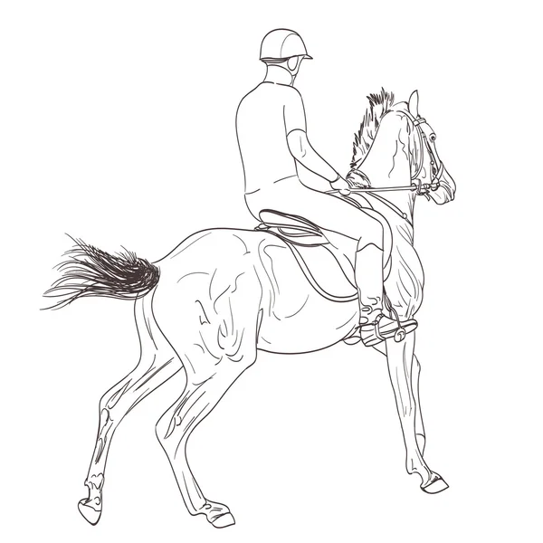 Caballo jinete línea arte dibujado a mano ilustración. deporte ecuestre t — Vector de stock