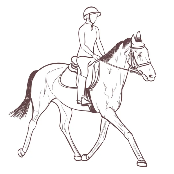 Jeździec, rysunek. Jeździectwo szkolenia linia sztuka wektor — Wektor stockowy