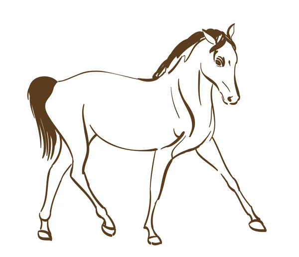 Dibujo de arte de línea de caballo. vector — Archivo Imágenes Vectoriales