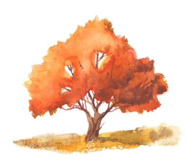 Sonbahar suluboya ağacı beyazda izole edilmiş