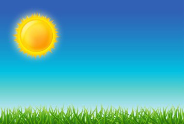 Cartoon bright sun on blue sky with green grass. vector illustration