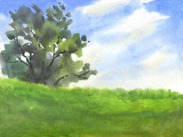 Gran Árbol Hierba Verde Cielo Azul Con Nubes Acuarela Abstracta — Foto de Stock