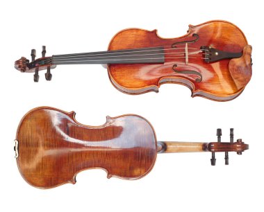 Ahşap akçaağaç kemanının iki yüzü beyaza izole edilmiş.