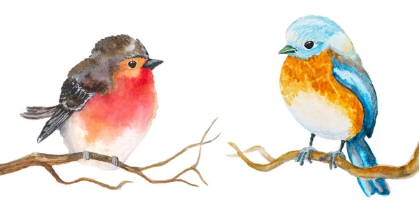 Set Uccelli Acquerelli Isolati Illustrazione Disegnata Mano Bianca — Foto Stock