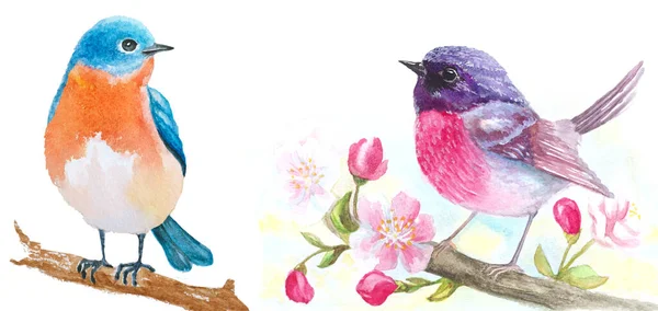 絵を描く木の枝に座っている水彩画の鳥のセット — ストック写真