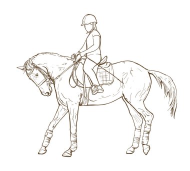 At biniciliği, at biniciliği ve vektör eğitimi alan genç bir kızın el çizimi. 