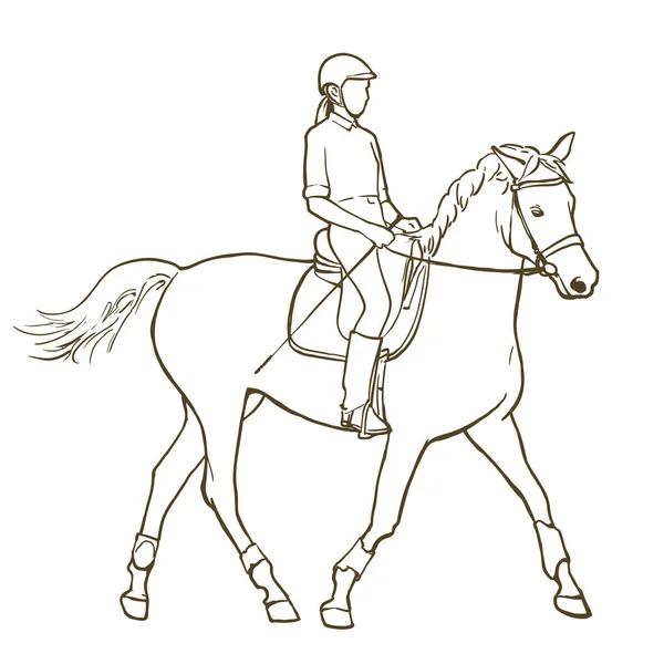 Ręcznie Rysowana Ilustracja Młodej Kobiety Jeźdźca Wykonującego Trening Koni Jazda — Wektor stockowy