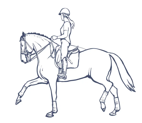 Dibujo Una Joven Jinete Realizando Entrenamiento Doma Equitación Semental Caballo — Vector de stock