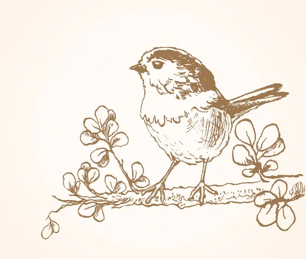 Little Bird Sitting Twig Hand Drawn Sketch Vector Illustration — Stock Vector