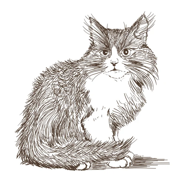 Pequeño gato dibujo en blanco — Vector de stock
