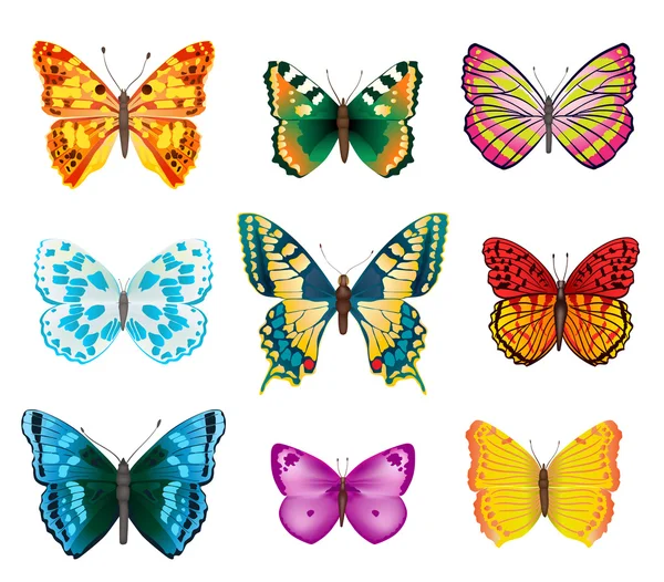 Conjunto de varias mariposas de colores — Vector de stock