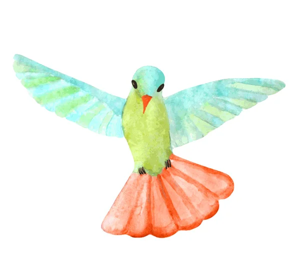 Farbenfroher Aquarell-Kolibri mit offenen Flügeln — Stockvektor