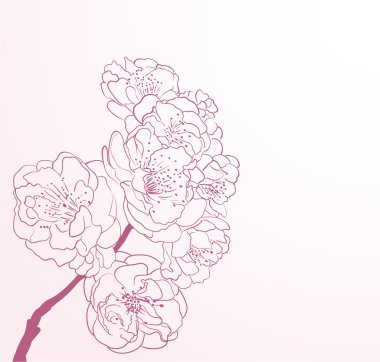 çizgi-roman tarzında kiraz çiçekleri