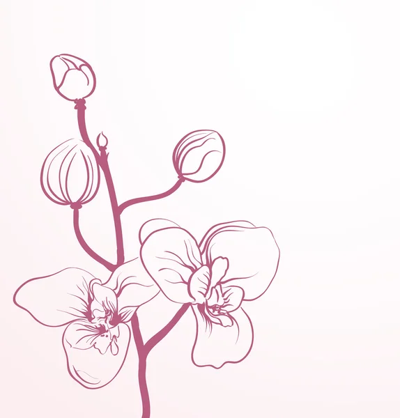 Flores de primavera en estilo line-art — Vector de stock