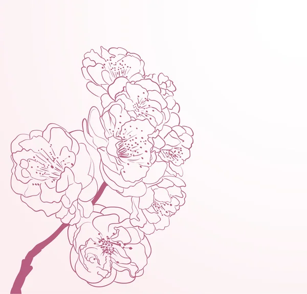 Cherry bloemen in lijntekeningen stijl — Stockvector