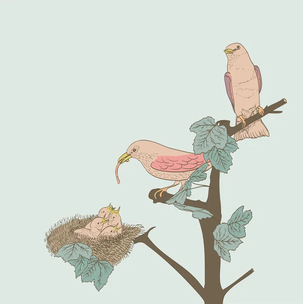 Pájaros pequeños dibujados a mano alimentando a sus crías en el nido — Vector de stock