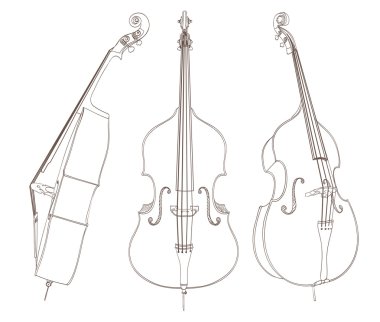 kontrbas beyaz üzerinde çizim. vektör çizim