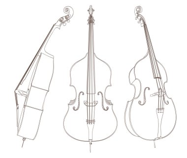 contrabass drawing on white. vector illustration clipart