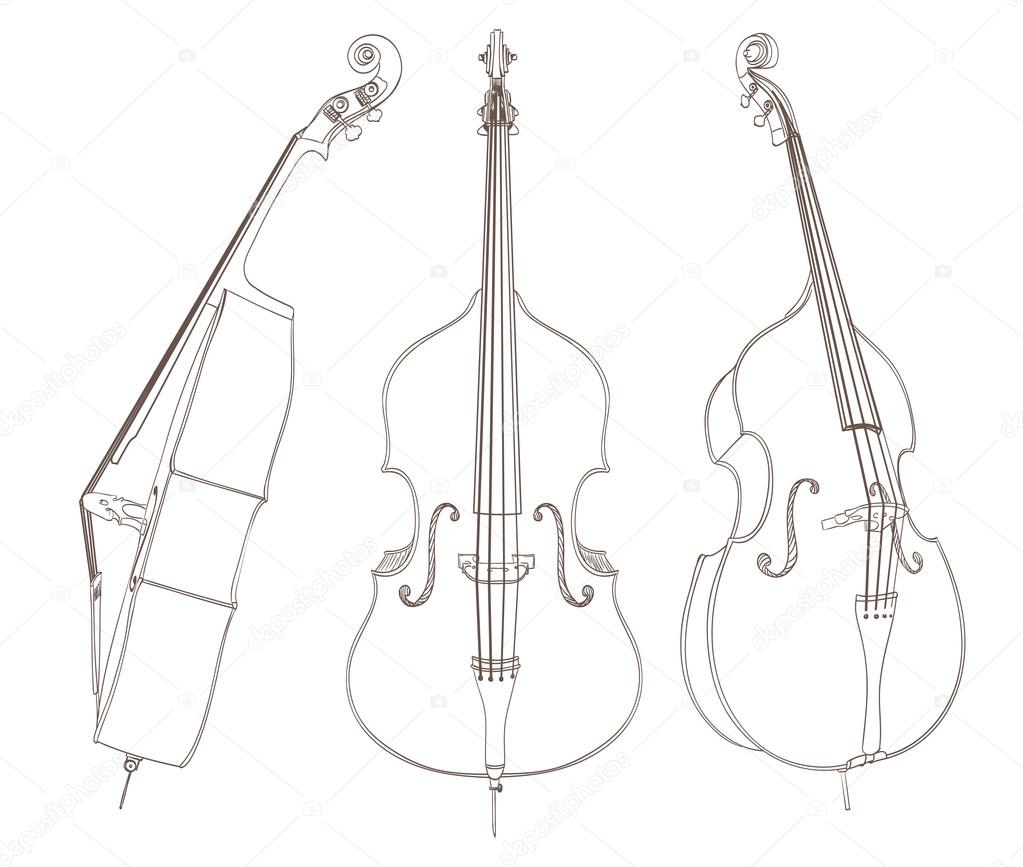 contrabass drawing on white. vector illustration