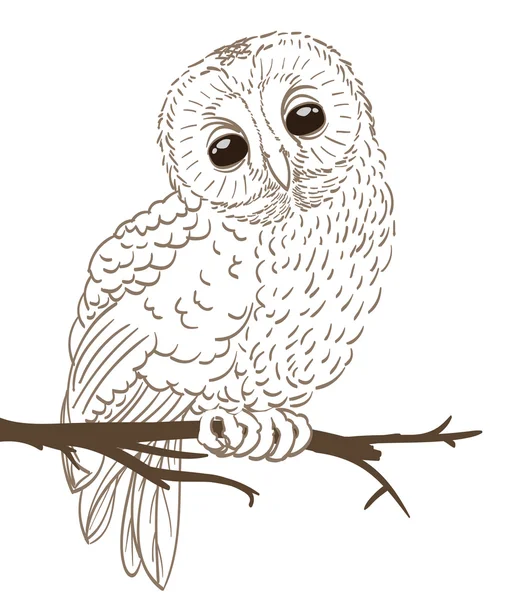 Owl sitting on a twig hand drawing. vector — Stock Vector