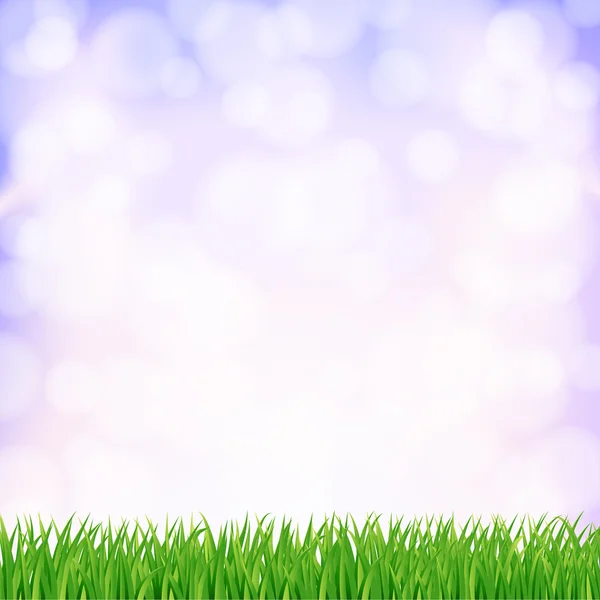 Spring background with green grass and sky. vector — Stock Vector