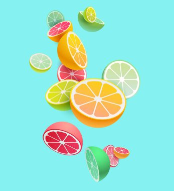 Citrus meyve kompozisyonu. Limon, portakal, mandalina ve limon dilimleri. Parlak yaz çizimi.