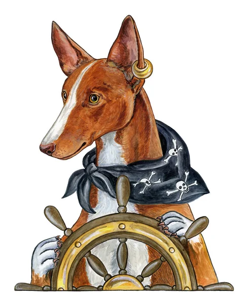 Пират Собака Руля Корабля Изолированная Белом Фоне Стоковое Изображение