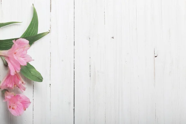 Alstroemeria flores sobre fundo de madeira branco — Fotografia de Stock