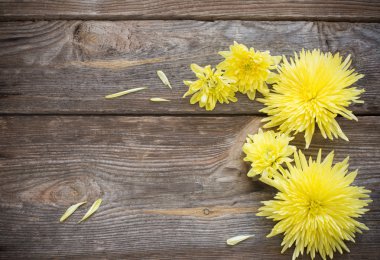 Ahşap arkaplanda çiçekler