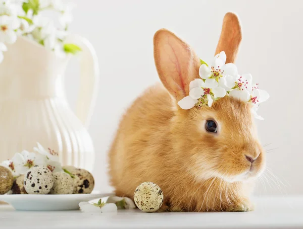 Lapin rouge avec des œufs de Pâques sur fond blanc — Photo