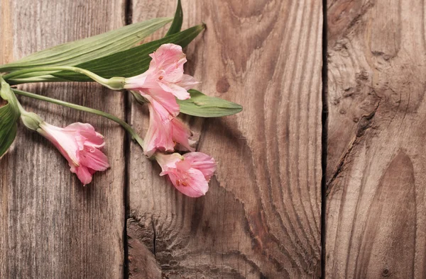 木製の背景にアルストロメリアの花 — ストック写真