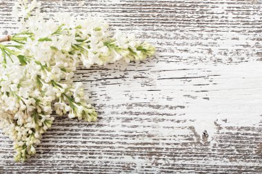 Ahşap arka plandaki güzel leylak