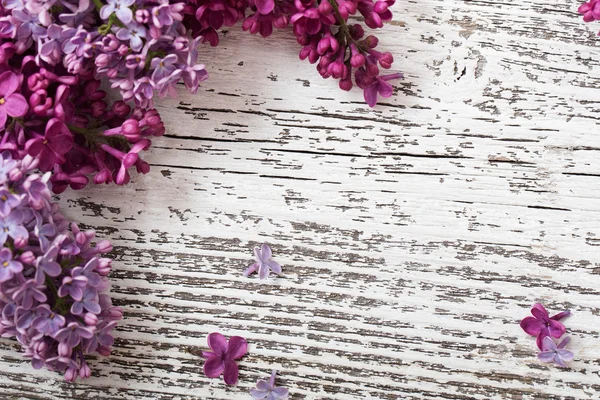 The beautiful lilac on a wooden background — Stock Photo, Image