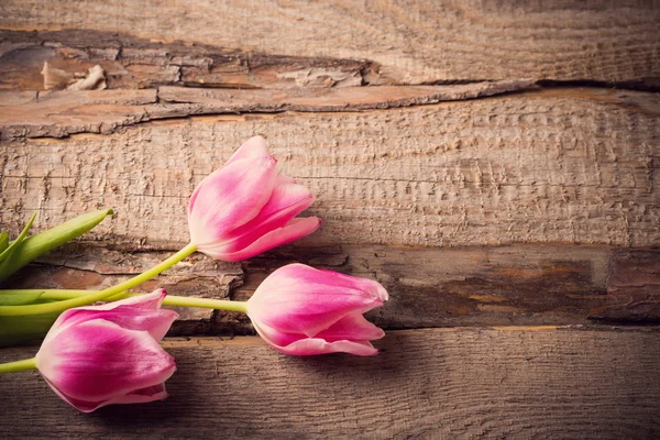 Krásné tulipány na dřevěném pozadí — Stock fotografie