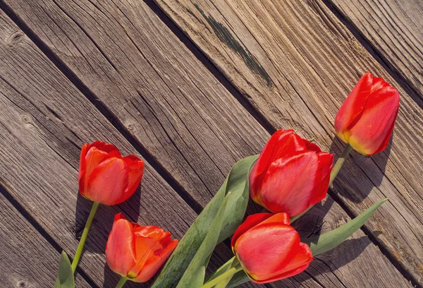 Belas tulipas no fundo de madeira — Fotografia de Stock