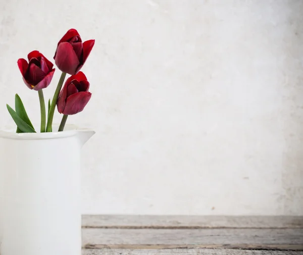 Tulips on white grunge background — Stock Photo, Image