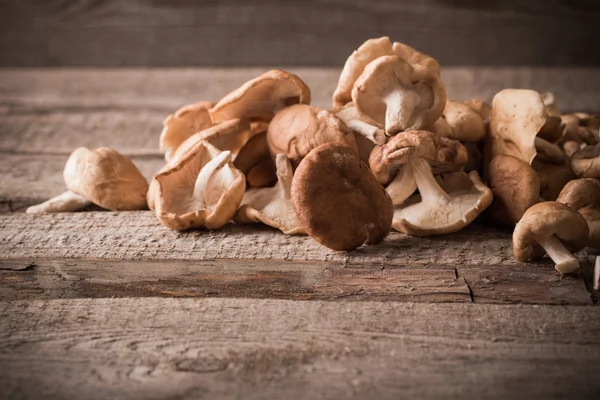 Shiitake gomba fából készült háttér — Stock Fotó