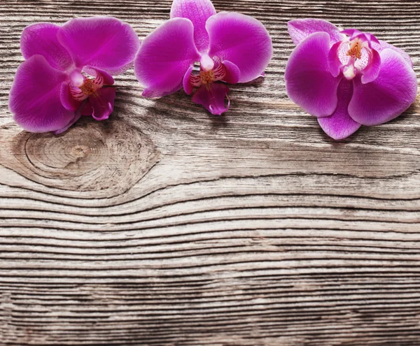 Fleurs d'orchidée rose sur un fond en bois — Photo