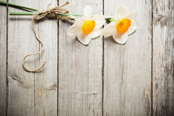 Two flowers on wooden background — Stock Photo, Image