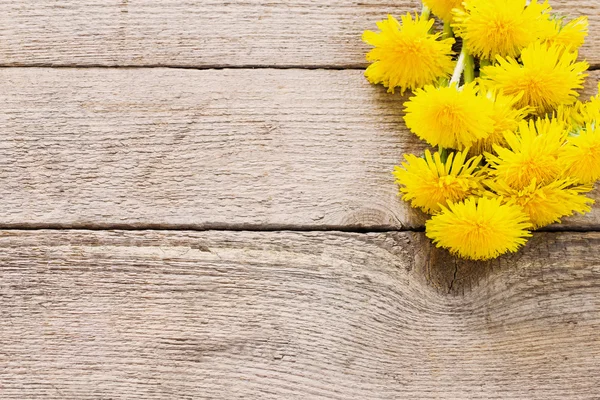 Löwenzahnblumen auf dem hölzernen Hintergrund — Stockfoto