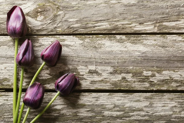 Tulipanes sobre fondo de madera —  Fotos de Stock