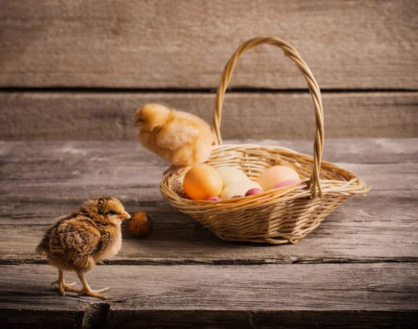 Курка з великодніми яйцями на дерев'яному фоні — стокове фото