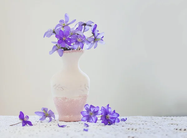 Flores de primavera em vaso — Fotografia de Stock