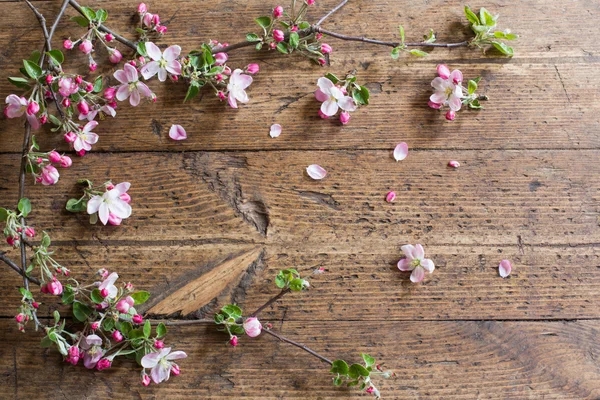 Apple flowers on wooden background — Stock Photo, Image