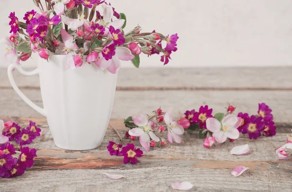 Still life of apple blossom flowers — Stock Photo, Image