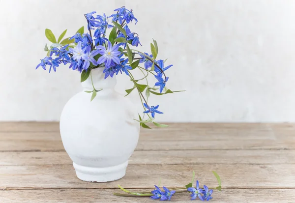 Spring flowers on white background — Stock Photo, Image