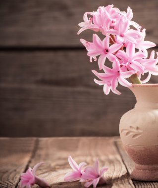 Tahta arka planda bahar çiçekleri