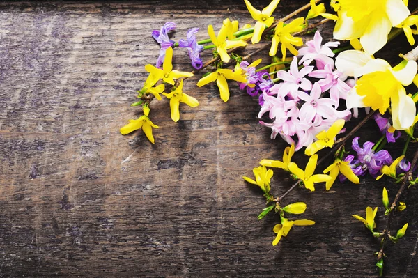 Spring flowers on wooden background — Stock Photo, Image